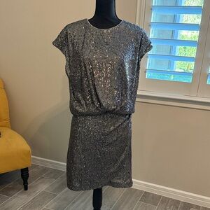 LOFT Shimmering Silver Top and Mini-skirt